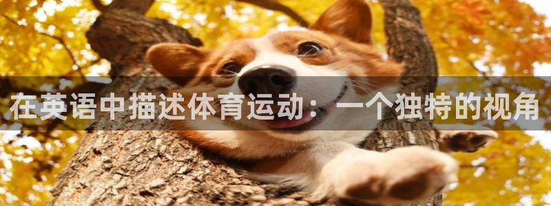 看球通体育APP：在英语中描述体育运动：一个独特的视角